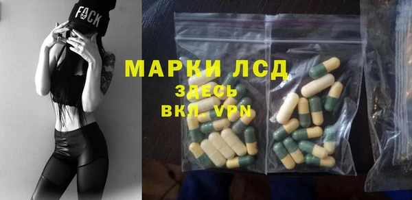 прущие грибы Бронницы