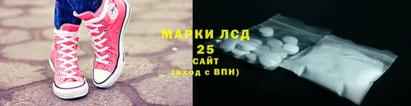 прущие грибы Бронницы