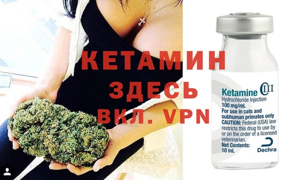 прущие грибы Бронницы