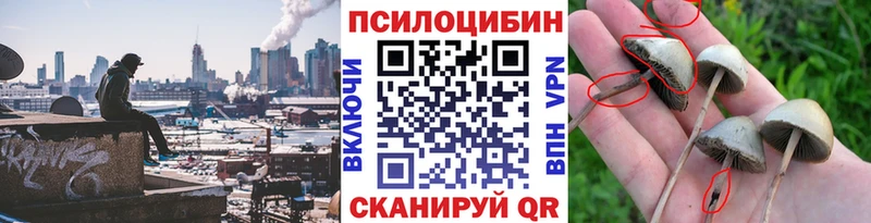 Галлюциногенные грибы GOLDEN TEACHER  купить наркотики сайты  площадка клад  Лыткарино 