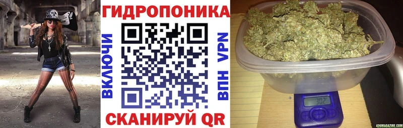 Каннабис конопля  Лыткарино 